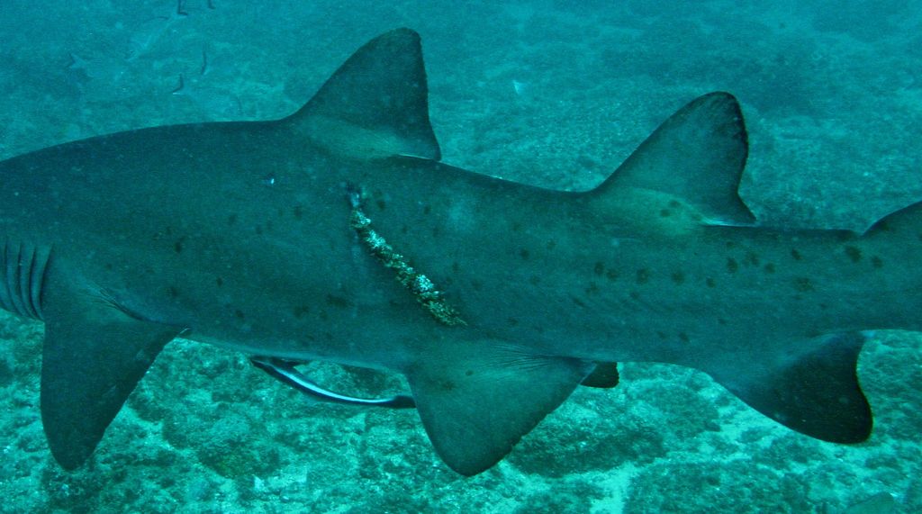 2e71369a-5f27-473a-9e7e-8e0feaaf2ede