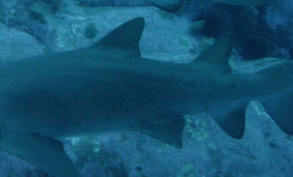 f883b582-5dbe-40aa-b3c5-b30893e09e5f