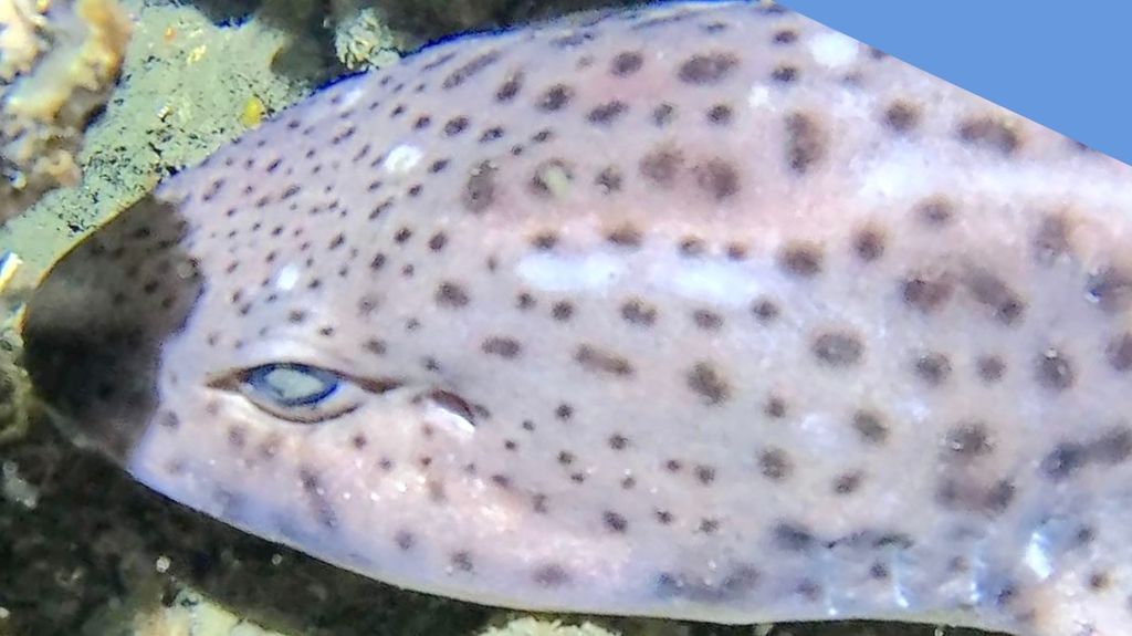 a12f24b8-5a50-4817-b25e-58ce85600c37