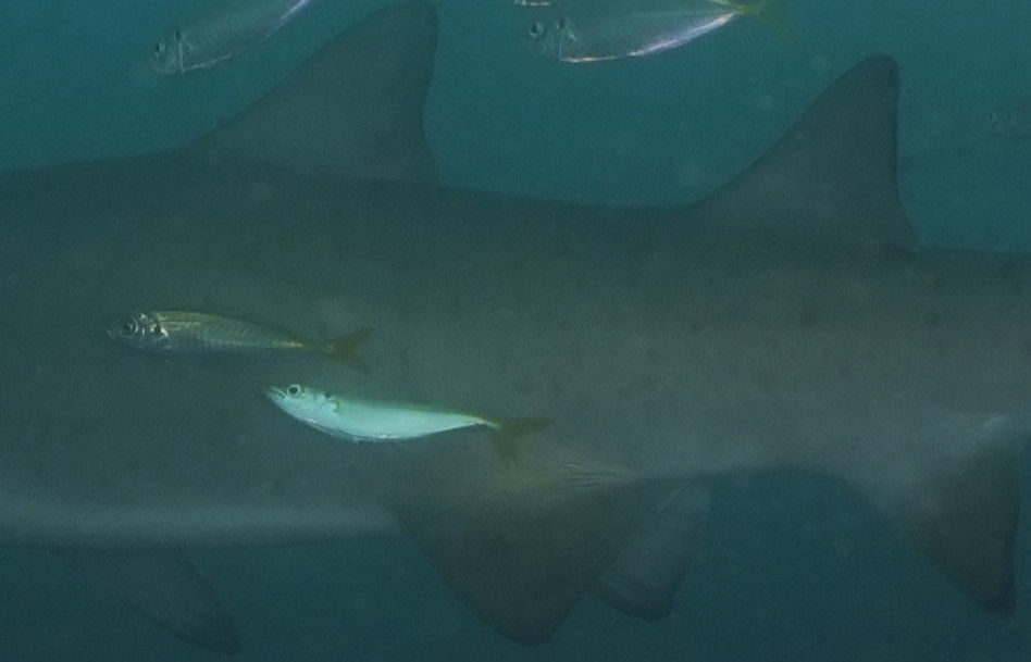 199f02c8-0dfc-480f-b442-89c6711c7554