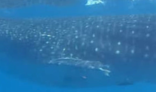 9ceaa9d1-8e8a-4317-8500-6e8b088a0eab