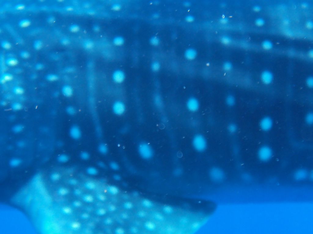 d6c068f9-9c6f-4d7c-854f-3316ea447eca