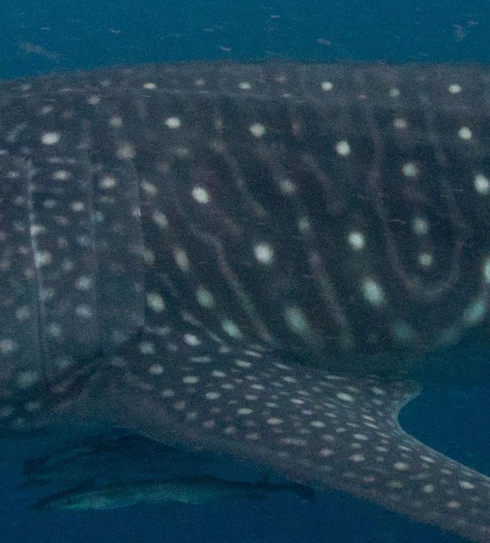 fe48e566-6252-436b-a773-d2232ea07399