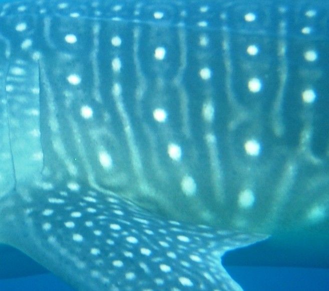 b7b33171-0e88-4106-93ec-1109cfdecaf9