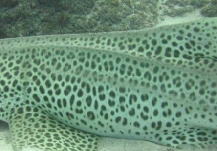 a8c0a623-ba24-474b-a92e-fce3210d4813