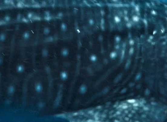 43c43cb7-99f4-4073-b9a0-39d91b18e9b1