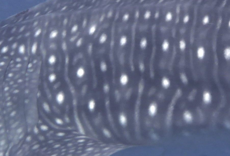 43c43cb7-99f4-4073-b9a0-39d91b18e9b1