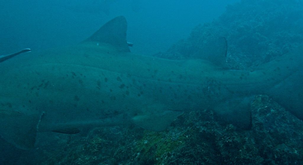 db03f8e0-5ac8-4177-a845-94e9c59049f8