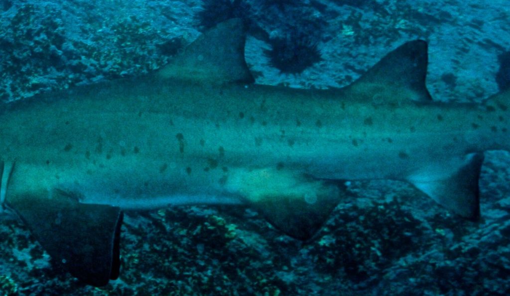 e0aa04cc-8f44-4d0d-9b38-3657e0c465c4