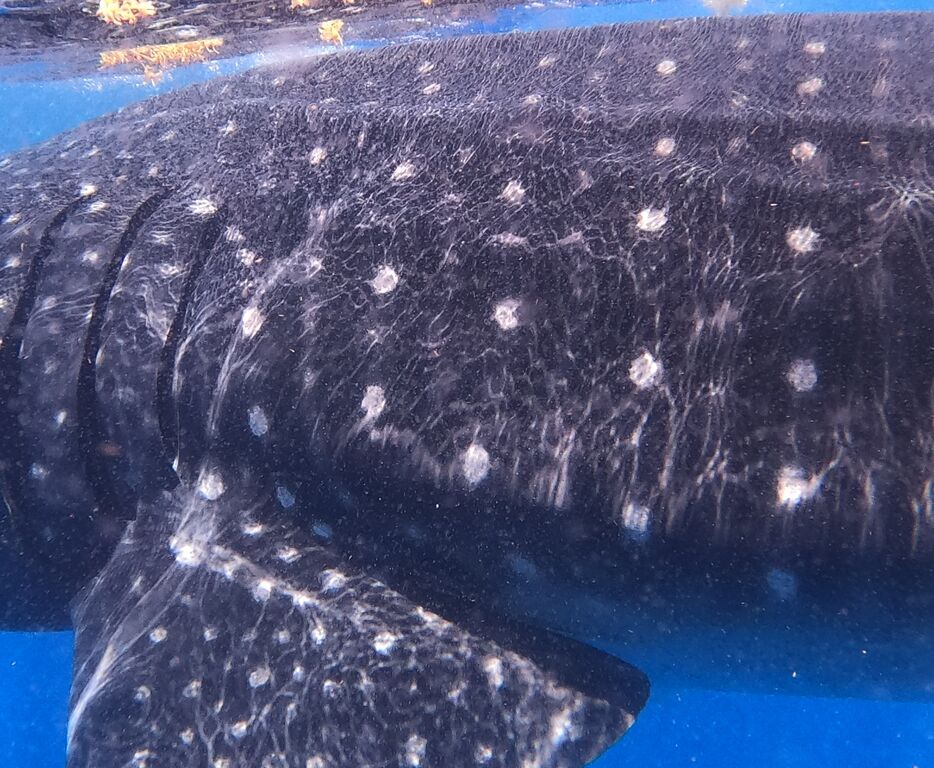 f1bdb33c-89fa-4a1c-b3cf-cec18b2caa25