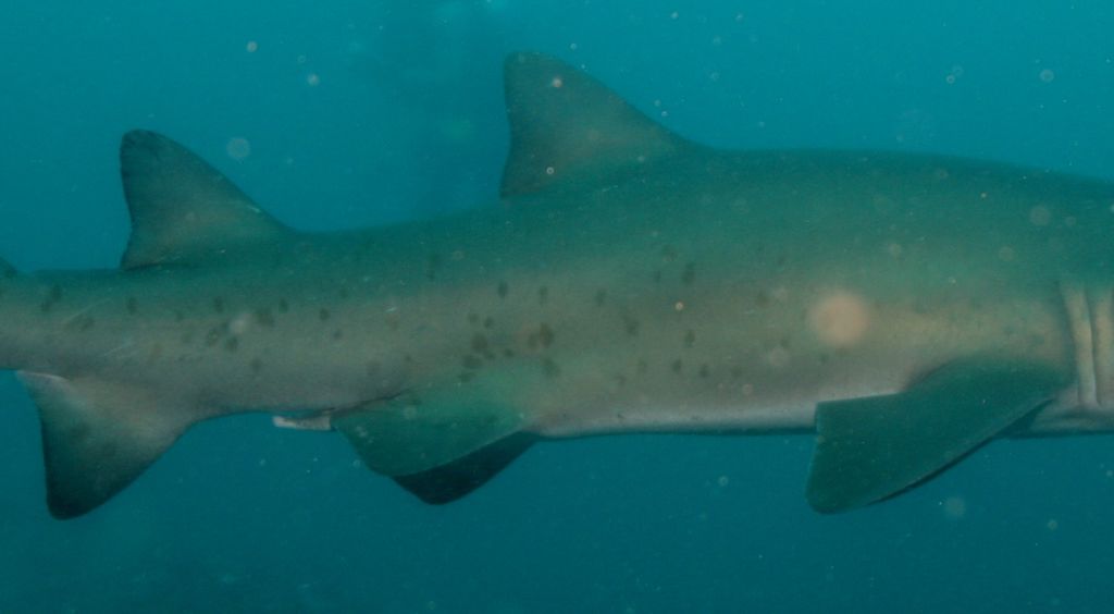 16cc3763-00d5-4467-8765-77752617c02a