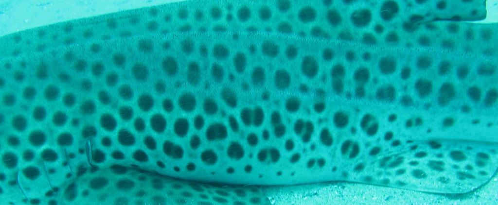 319f0e16-430b-46de-b8dd-db2b02ddfa21