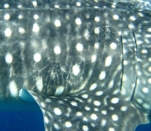 ccc683e4-5833-45db-a04f-666bc1279aa6