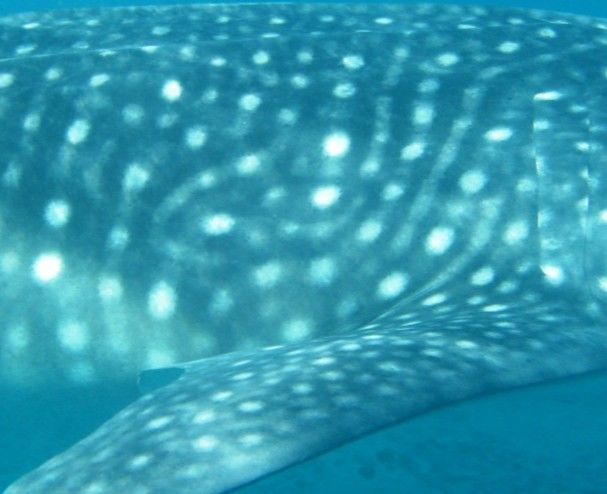 0ad744fe-eae8-4c31-b14b-9c4a9f8e749c