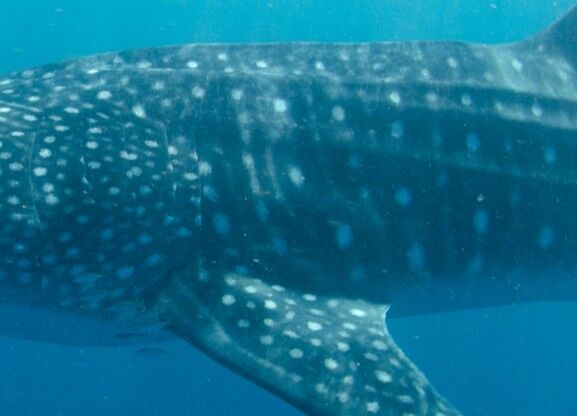 11214533-4123-4d81-a651-95b33ac8ffb6