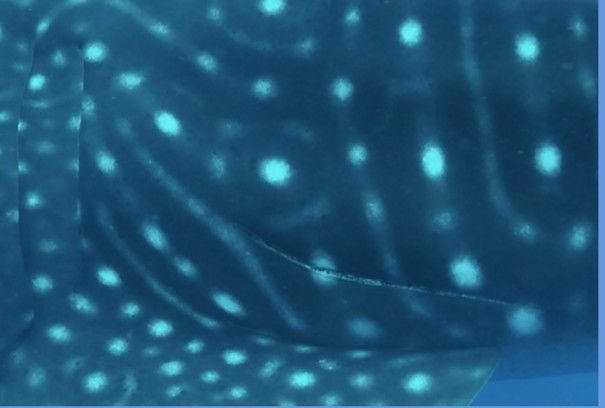 3f81f6f7-45bd-4fc3-bbd3-b090d4162212