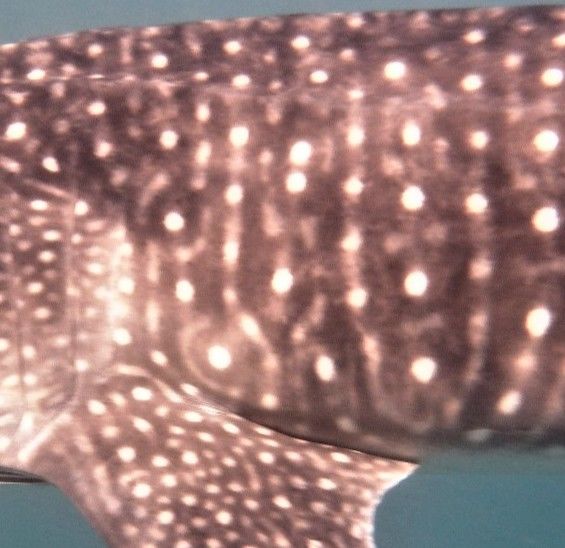 d3867418-5fcf-4e95-b6f5-fee52bb1c25e