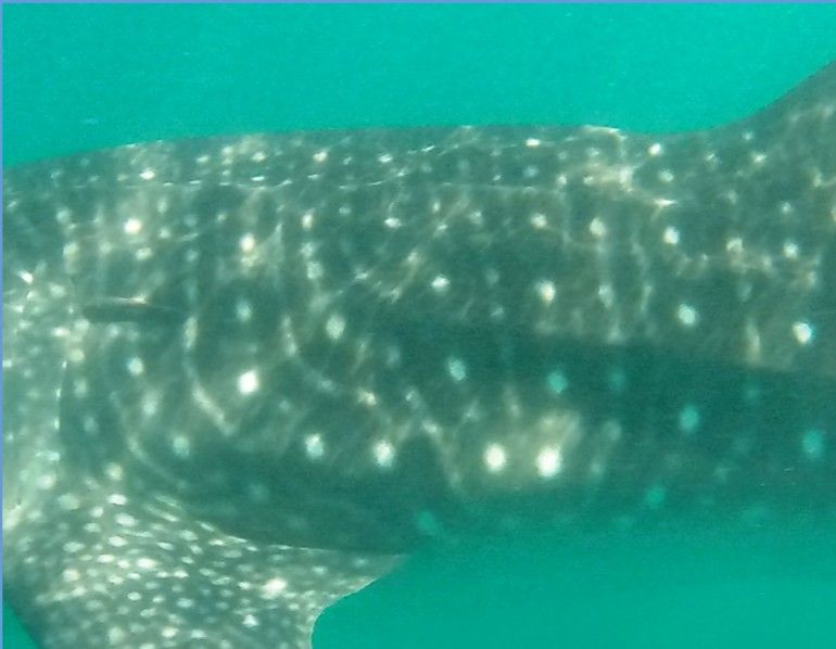 2024723d-8153-4e0a-8655-a966ea4508f7