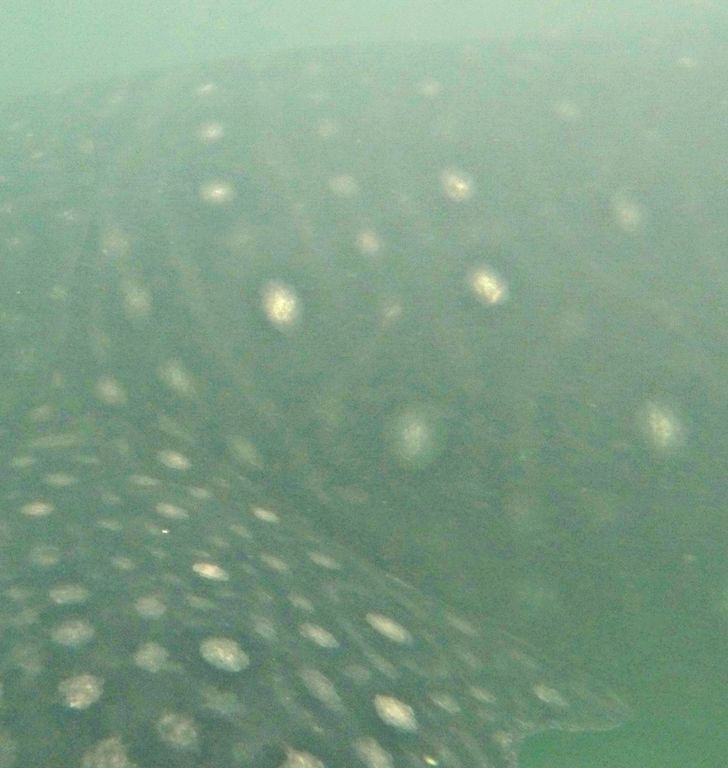 31a1788e-7c5b-4e71-9dca-db80210f727f