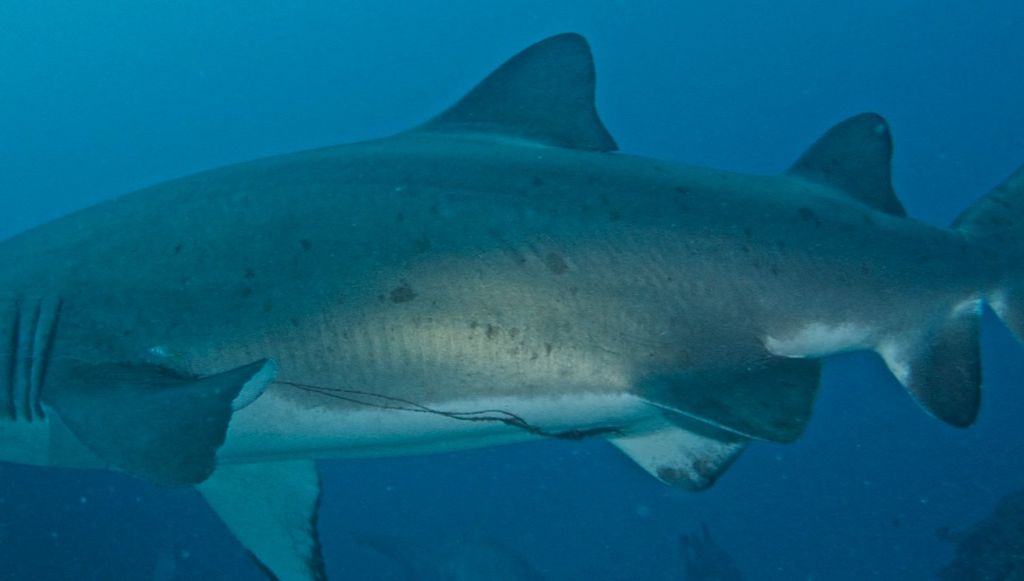 c1ee353b-a5b6-4f8f-b0be-c80a8dc2a2fc