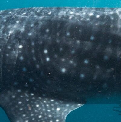 41f205be-2e6b-4713-a773-2ebd80ed84ff