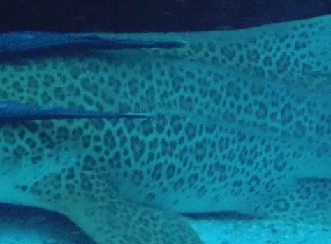 4578ee41-b7bd-4246-a91e-fb3b16ffd48c