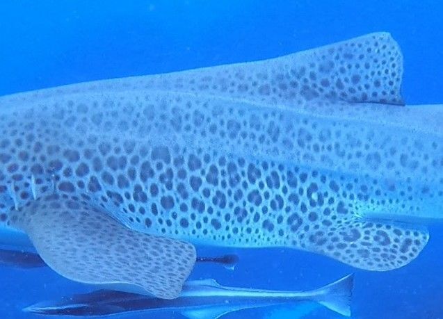 9b0448e1-74f9-42b9-9ca0-d39cbeb00cc9