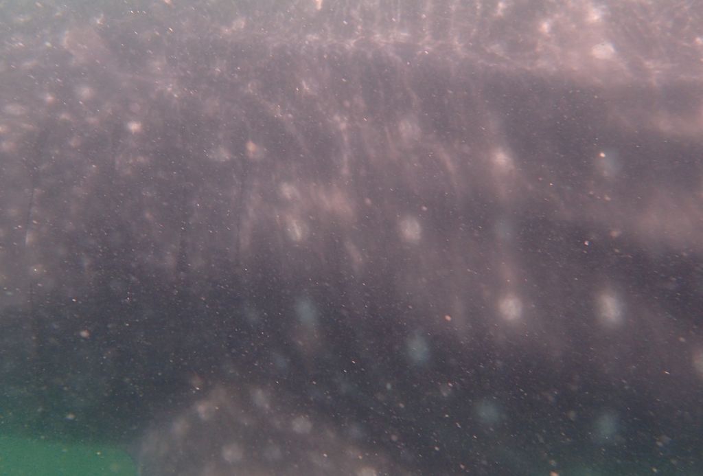 8293c534-2446-4127-9bbd-8bb411971cfc