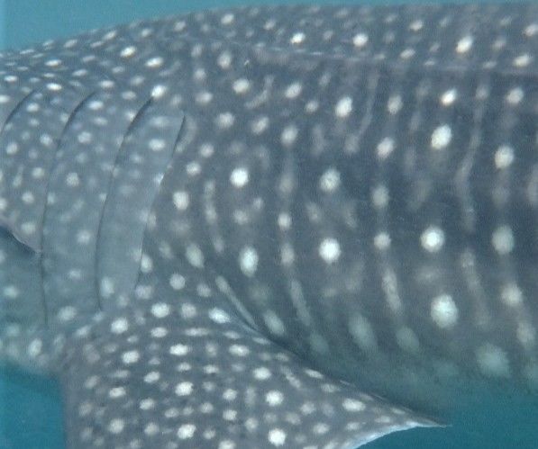 933ac14d-d25a-41b5-aa08-6c657a1906c5