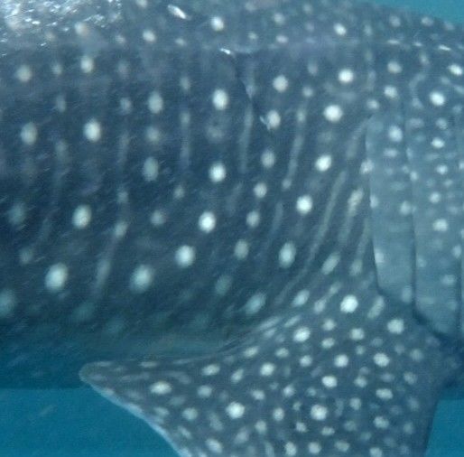 933ac14d-d25a-41b5-aa08-6c657a1906c5