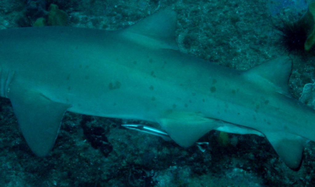 b01b76be-1b01-4d47-ac6b-38f047ec234d