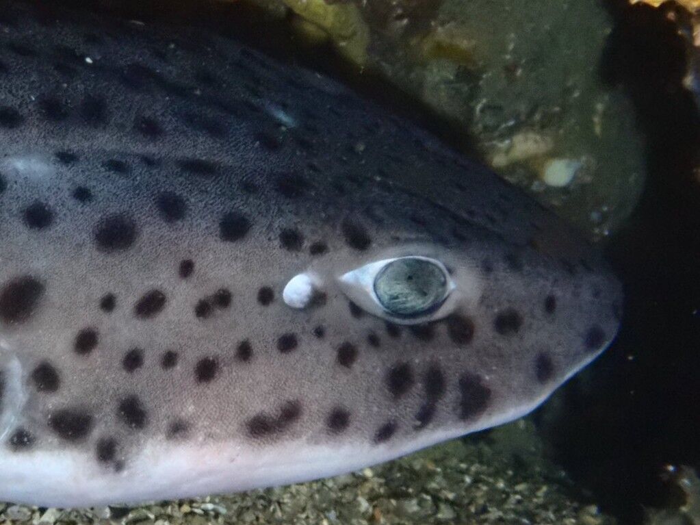 51f70797-b6e4-4b5e-944b-353a105df54e