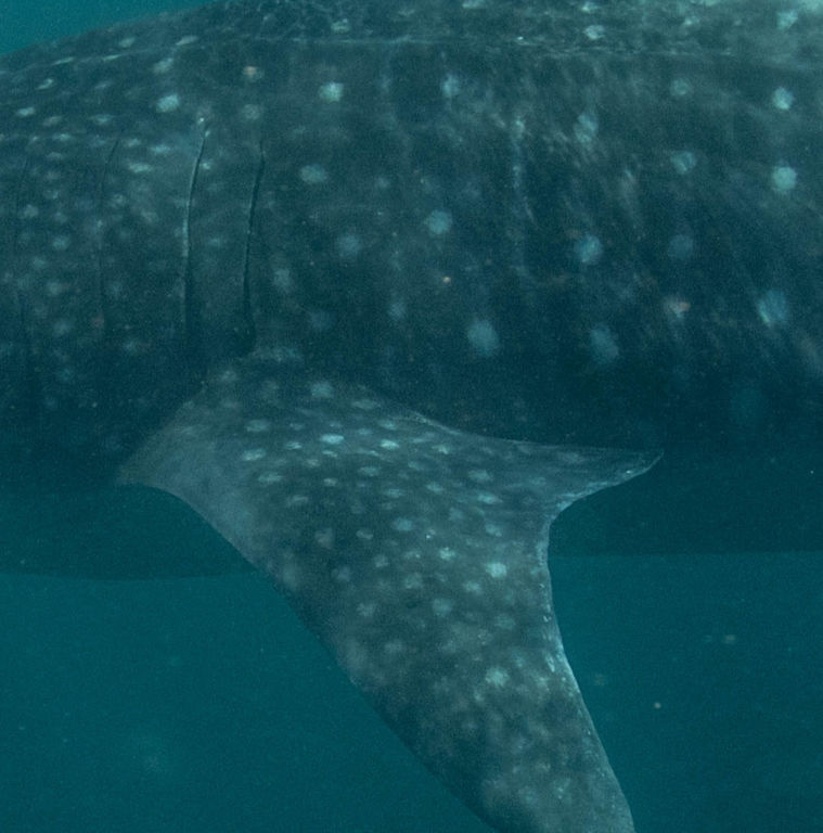 5ee8a33b-f1f5-4733-9efd-654113279f34