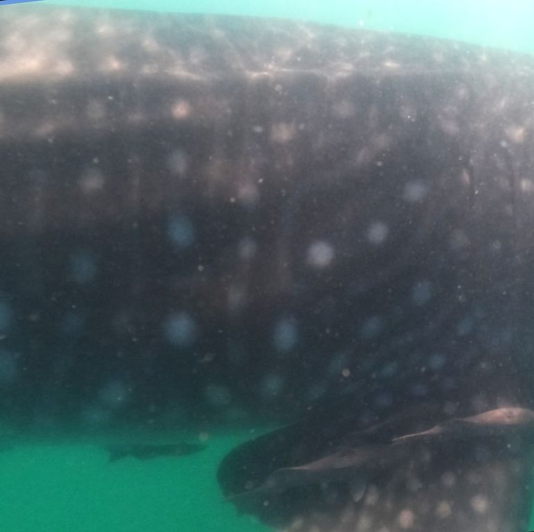 4ffd4d16-12bb-49d5-8ca5-aa59de08f24f