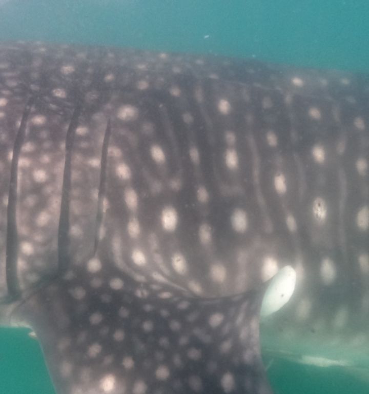 4ffd4d16-12bb-49d5-8ca5-aa59de08f24f