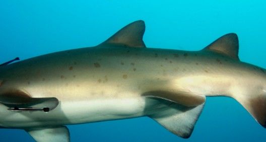 7e85bd69-edf4-41fb-abcb-0061b769eec6