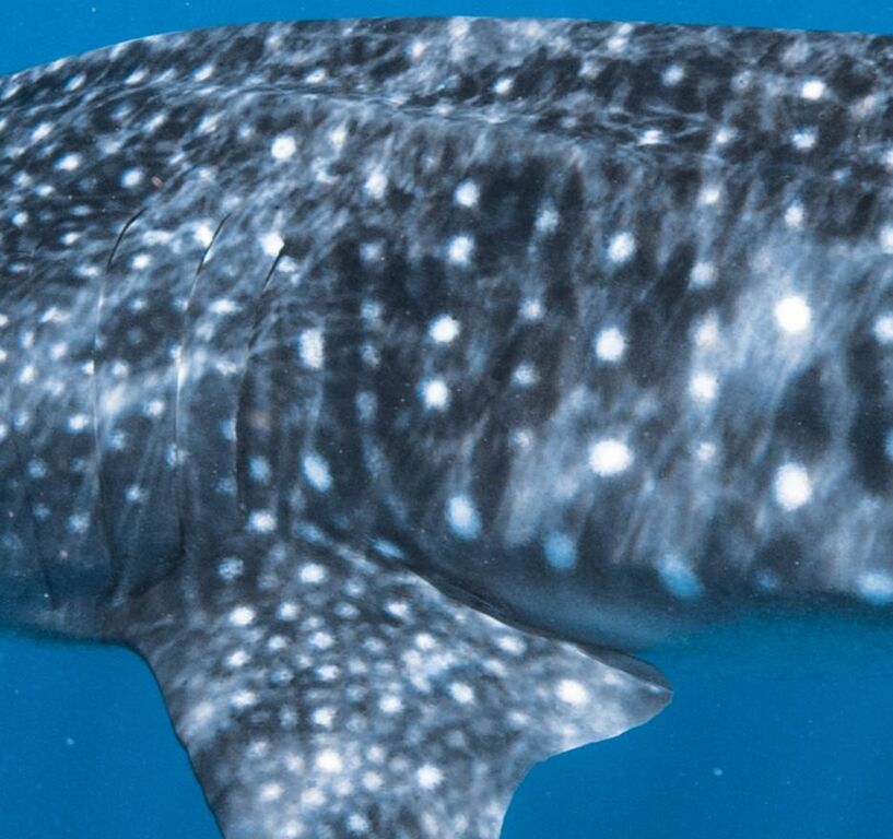 2fd1a807-2a2d-4911-aa66-ac3e27d8f379