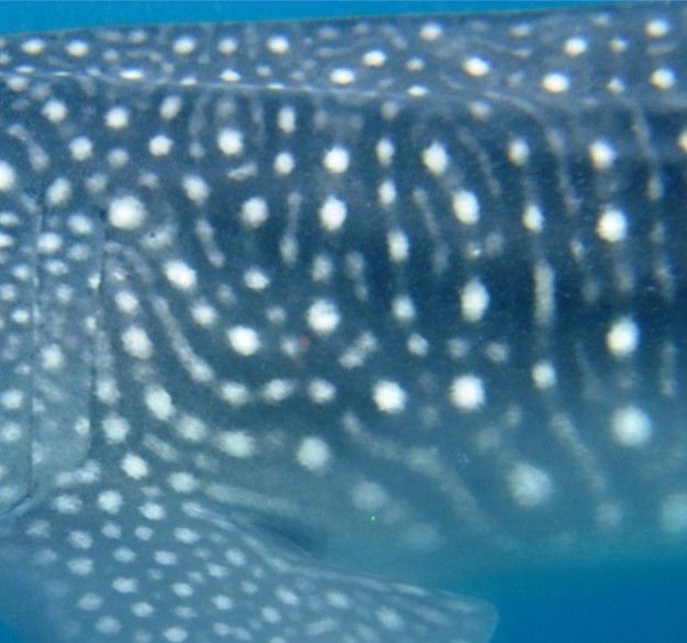 ff227211-b078-49dd-b5aa-040c45a1c6ea