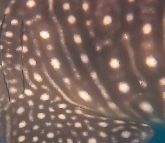 43119d84-ee7f-48b5-a9b7-7c3f4656ac83