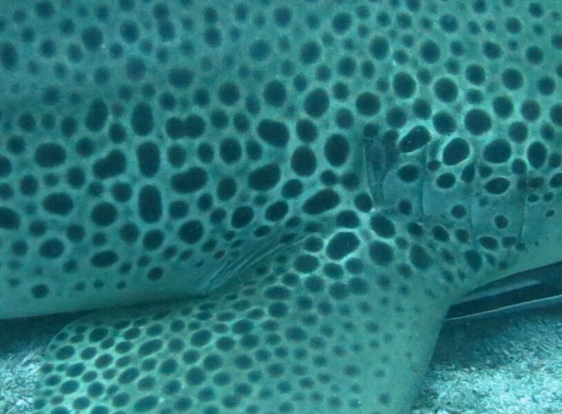 9a776e91-0e81-4aa4-a8c7-308c7ae7e7dd