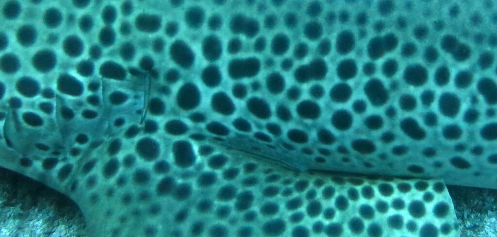 9a776e91-0e81-4aa4-a8c7-308c7ae7e7dd