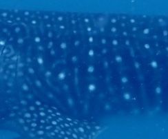 78807087-b36c-44fb-ba87-12811ba6bf68