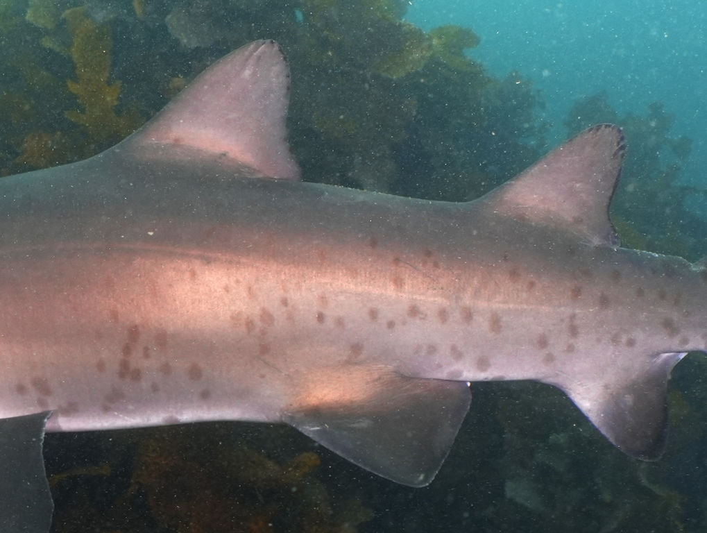 dfc1fa7f-9a71-45ab-bb48-6a5651399946