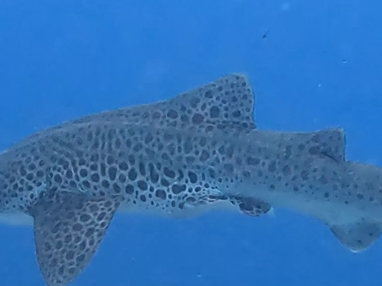 d361c636-6da0-4552-9391-00b9a2b7dfdf