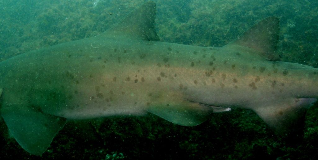 58610cb0-111d-4678-843d-ab4e928e2577