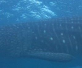 38614340-1105-4a35-a213-92cbc5a085c1