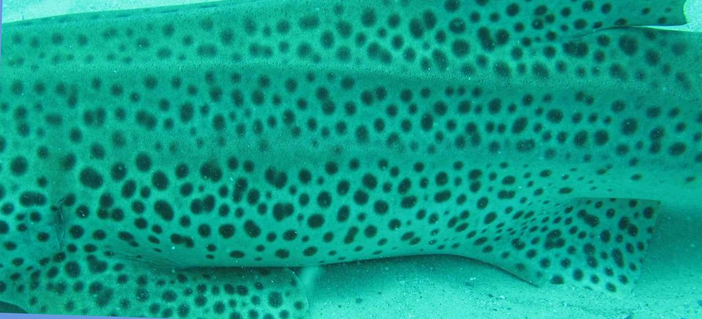 69fae4bb-8d4b-40fd-92d9-a3ecf3e741f9