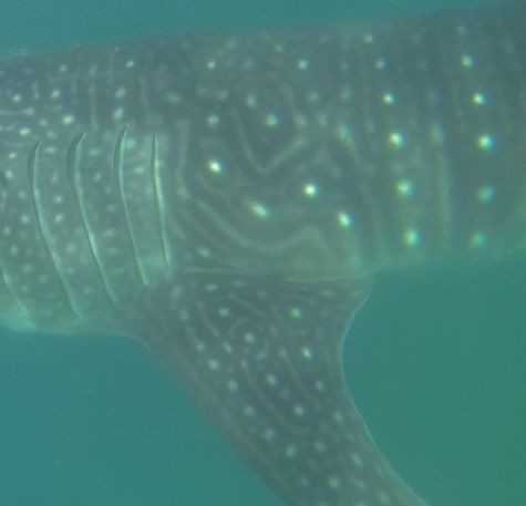 7844d3b0-db1d-4eca-b8fb-78ce7f654362