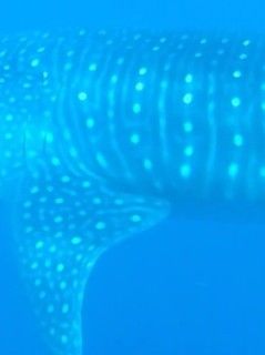 dfae3ab6-3502-4583-9d56-121d9143b5d3