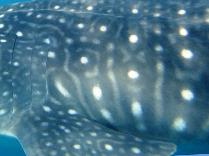 e46129b8-f24f-40ea-bbdf-a9a1013cc442